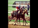 online horse betting legal texas  legal horse betting sites in US