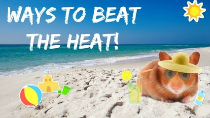 KEEPING YOUR PETS COOL DURING THE SUMMER
