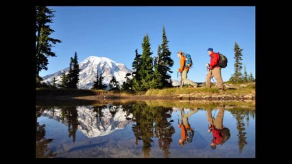 Home and Auto Insurance - Mosaic Insurance Alliance in Lynnwood