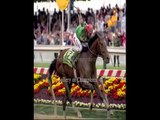 is horse betting legal in texas  legal horse betting sites in US