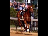 is online horse betting legal in pennsylvania  legal horse betting sites in US