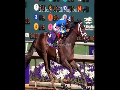 is betting on horse racing legal legal horse betting sites in US