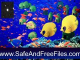 Get Red Sea ScreenSaver 2007 Activation Key Free Download