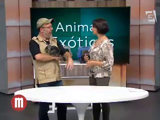TV Gazeta 2014-07-09 Programa Mulheres 2