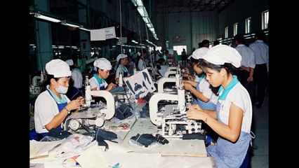 Máy may bao tải giá rẻ, máy khâu bao gạo cầm tay, máy khâu bao, máy may bao