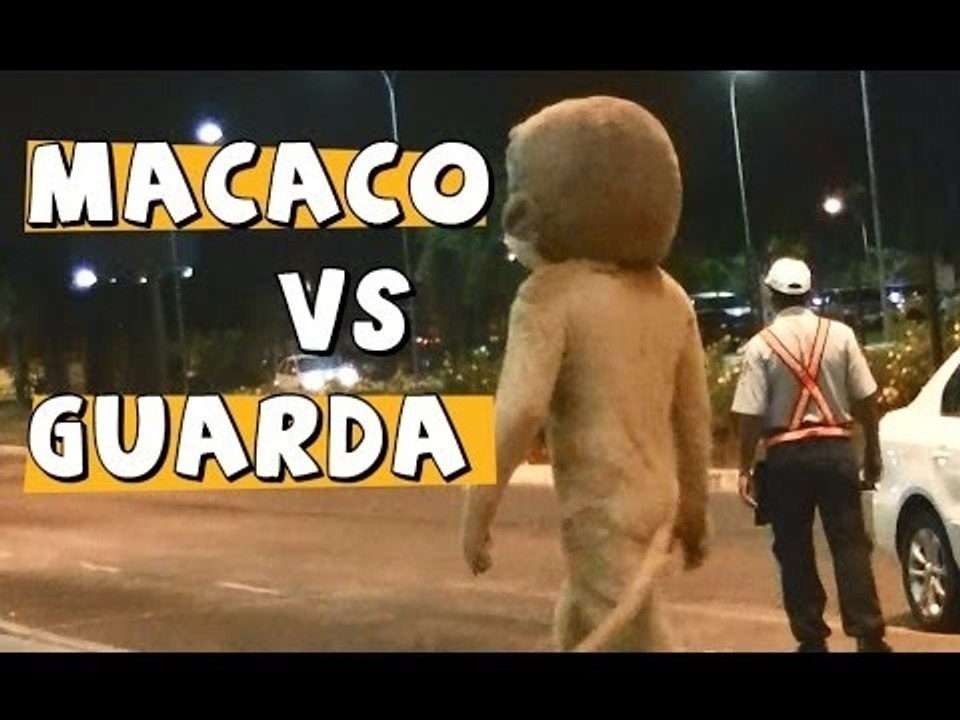 Macaco vs Guarda de trânsito
