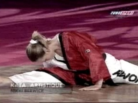 Taekwondo Impressionant