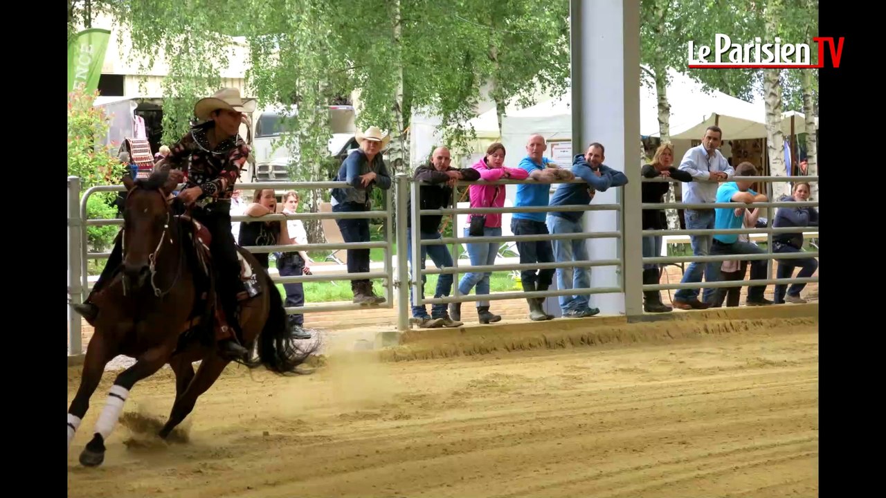Découvrez le Reining : l'équitation façon western