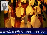 Get Rumi and Whirling Dervishes Screensaver 3 Serial Number Free Download
