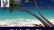 Get Sandy Beach 3D Screensaver and Animated Wallpaper 1.0 Serial Number Free Download