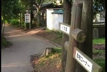 実録!!ほんとにあった恐怖の投稿映像 BEST 30 第2弾!! Part2