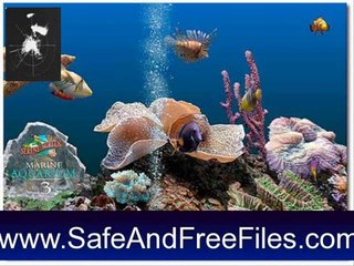 Get SereneScreen Marine Aquarium 3.6.1 Serial Code Free Download