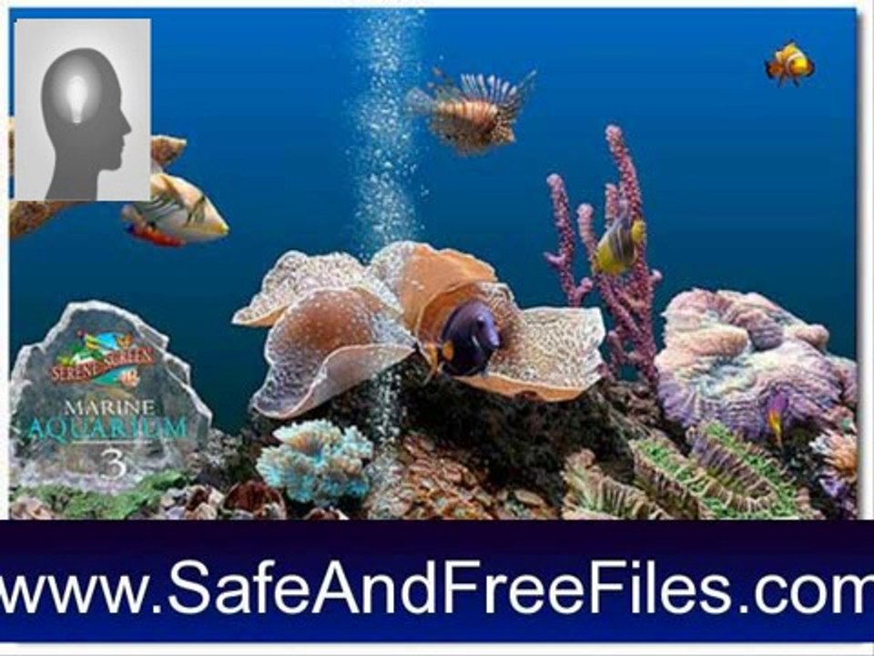 Get SereneScreen Marine Aquarium 3.6.1 Serial Number Free Download