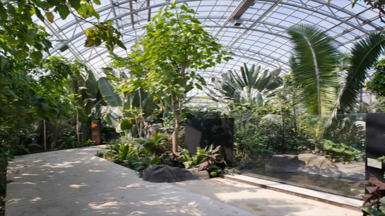 La conception paysagère du Parc Zoologique de Paris, un exemple : la serre Guyane-Madagascar (cycle Le Parc Zoologique de Paris 2/3)