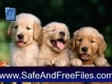 Get Puppies Screensaver 1.0 Activation Code Free Download