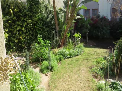3 Bedrooms in Santa Paula Homes For Sale, Newly Landscaped Rear Yard