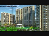 Builders in Greater Noida
