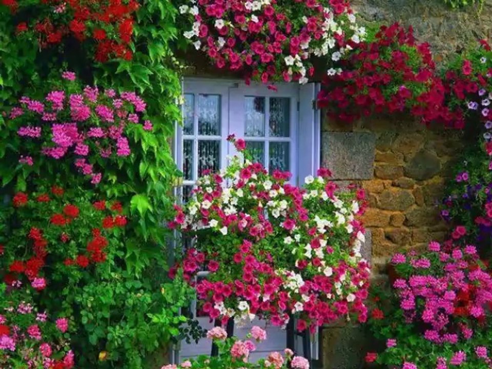 Güzel İlahi Mescidi Aksa