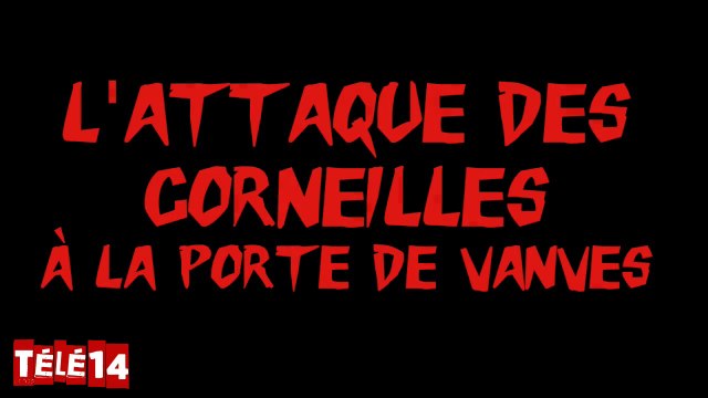 L'Attaque des corneilles à la porte de Vanves