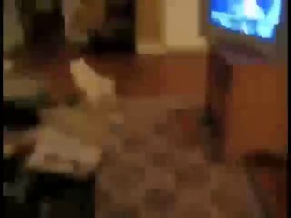 why email got invented