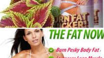 Attention: Premium Pure Forskolin Review - Do not BUY ! Read First !