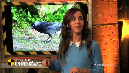 EM106 Mission : Faire un nid géant