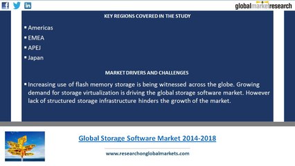 Global Storage Software Market 2014-2018