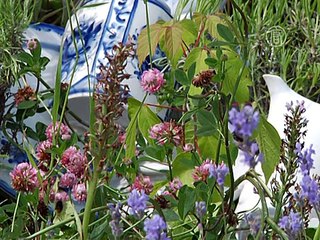 Русская деревенька – новый тренд ландшафтного дизайна