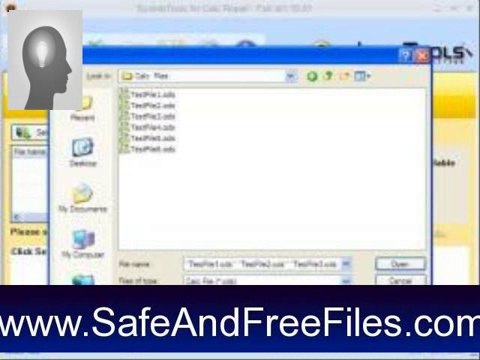 Get SysInfoTools Calc Repair 1.0 Serial Number Free Download