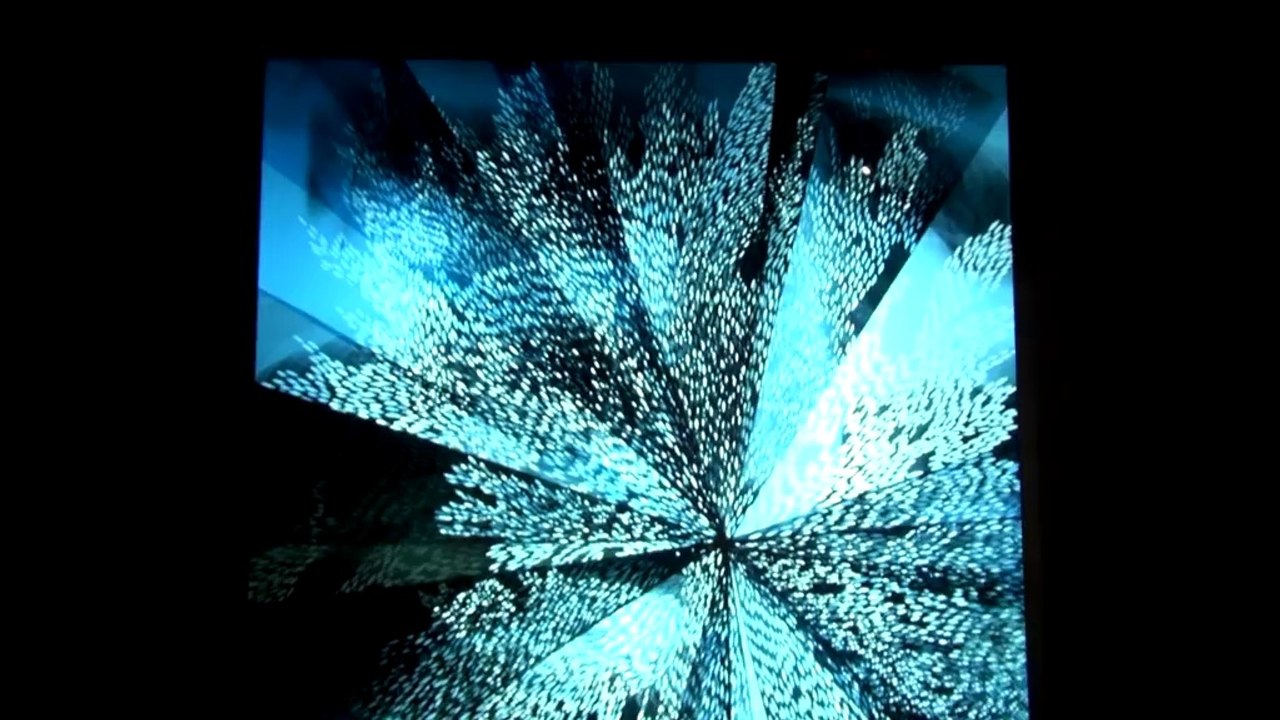 Lace effect 2: nouvelle exposition à la Cité de la dentelle et de la mode