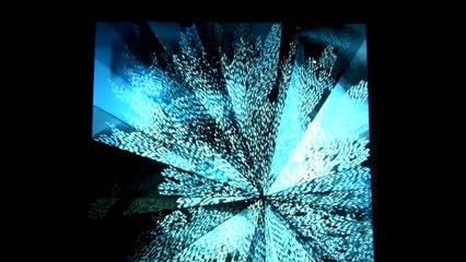 Lace effect 2: nouvelle exposition à la Cité de la dentelle et de la mode