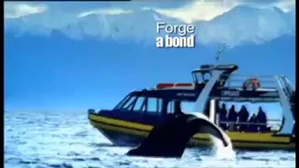 Travel without Boundaries by The Wanderers Gujarat