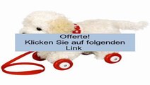 Offerte Spiegelburg 10640 Labradoodle Flocke auf Holzrollen Lustige Tierparade Rezension