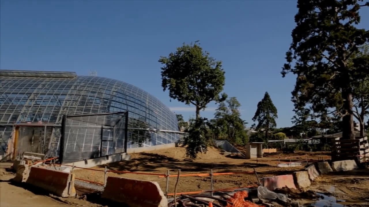 La Parc zoologique de Paris, une nouvelle espèce de zoo (cycle Parc zoologique de Paris 3/3)