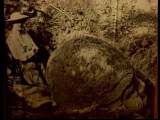 Olmecas de la Venta, primeros estudios