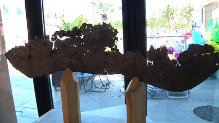 La Maison des Arts : Homenatge al Lapis