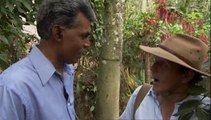 Around The World In 80 Gardens Episode 3 India Video Dailymotion