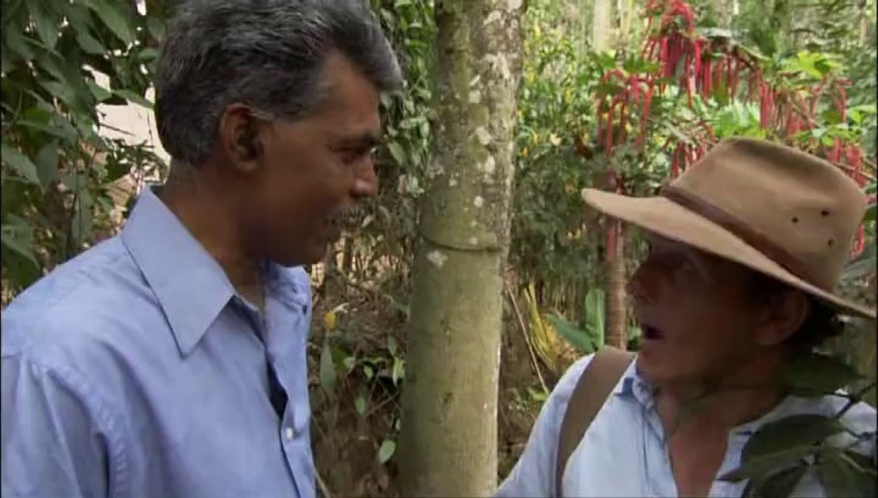 Monty Don - Around the World in 80 Gardens E03 - India