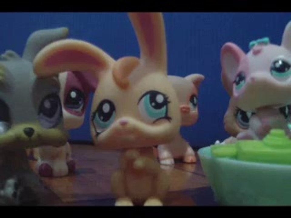 LPS - The Cover Girls #17 (ULTIMO EP) (A verdade é revelada)