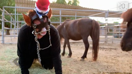 Son passe-temps? Se déguiser en poney