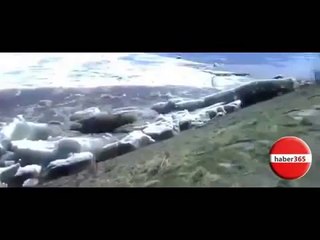 10 Saniyede bakın ne oldu