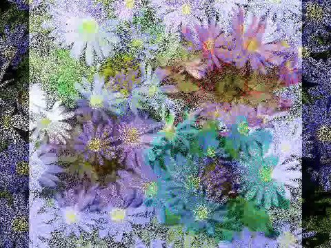 Tanju OKAN - Papatya Gibisin Beyaz ve İnce