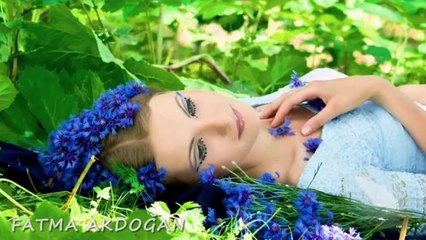 GÜLDEN KARABÖCEK-KIR ÇİÇEKLERİ