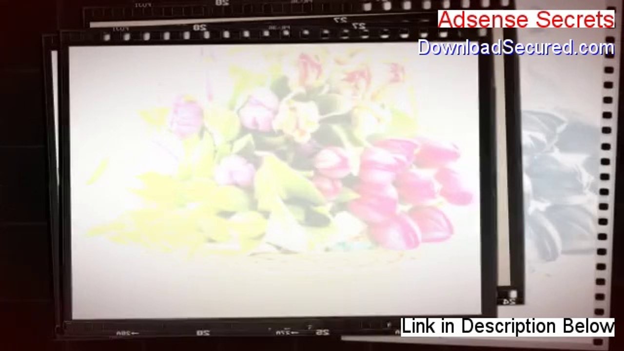 Adsense Secrets Review (Legit Review 2014)