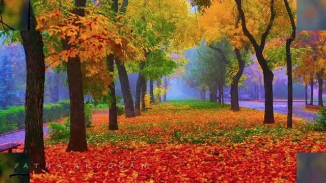 GÜLER DUMAN-AYAZ YARİM