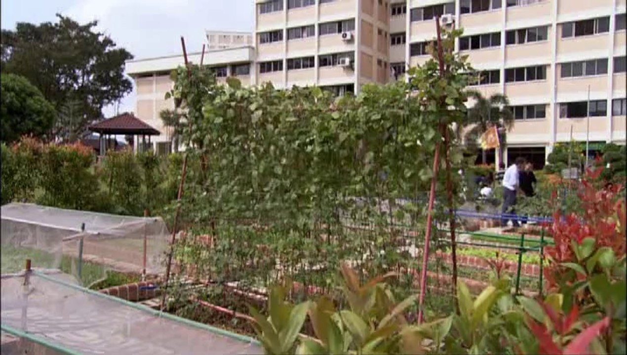 Monty Don - Around the World in 80 Gardens E10 - South-East Asia (Thailand, Singapore, and Indonesia)