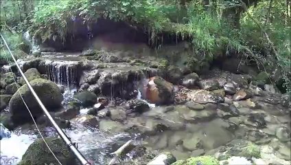 ♥ Dans la vallée des truite ♥