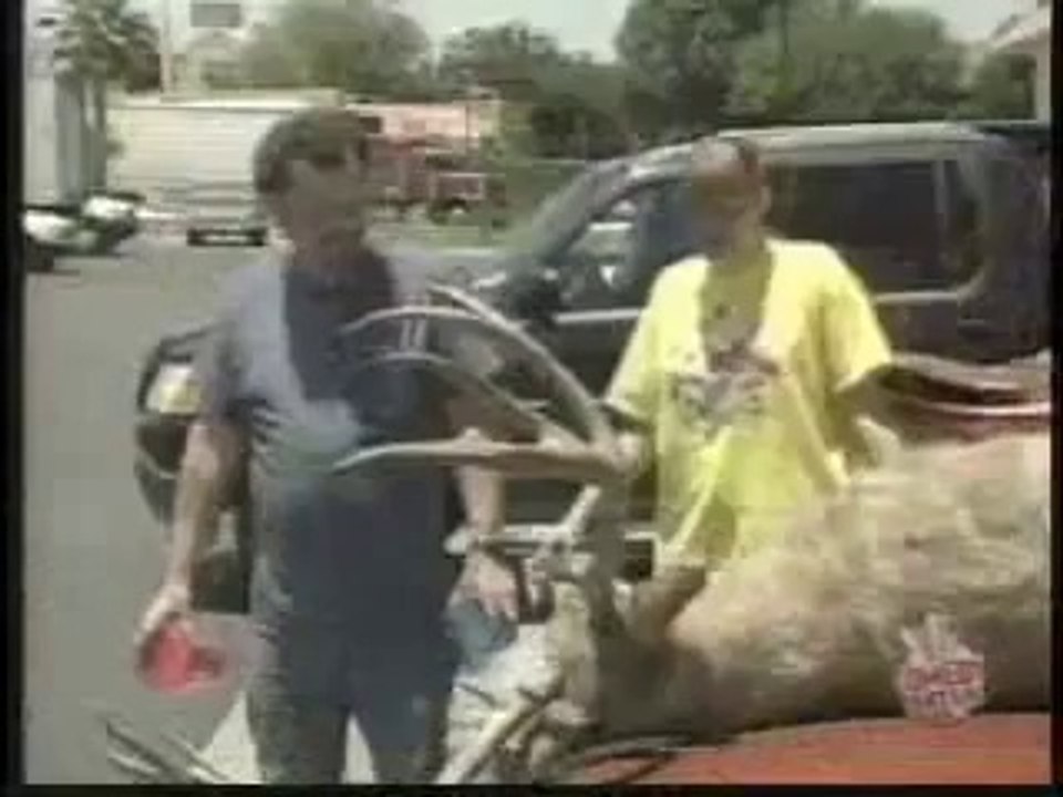 Annoying Reindeerr Prank (Just for Lough)