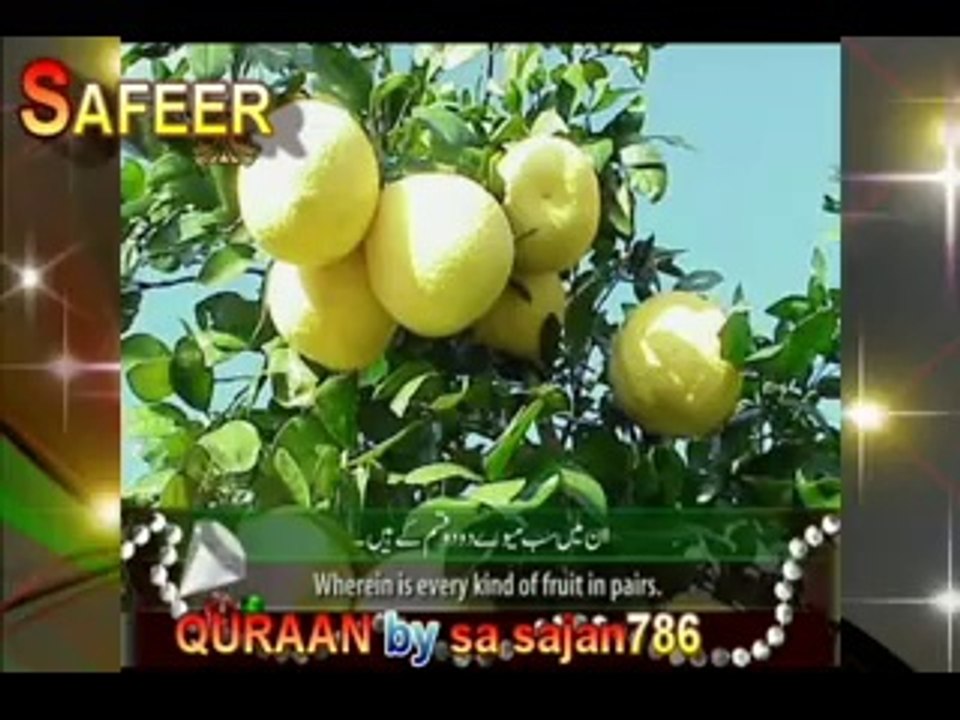 surah Ar Rahman _Beautiful Recitation ( HD )QURAAN by sa sajan786