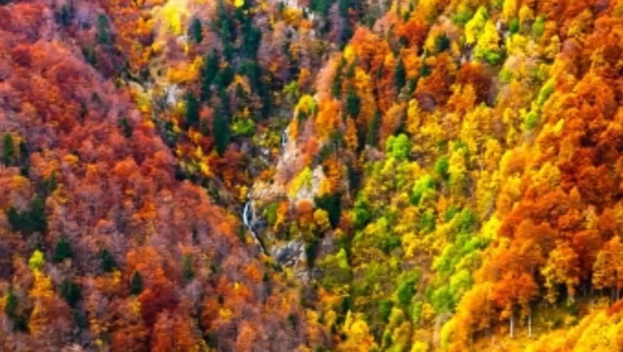 Musica para orar, escuchar musica instrumental gratis, musica cristiana